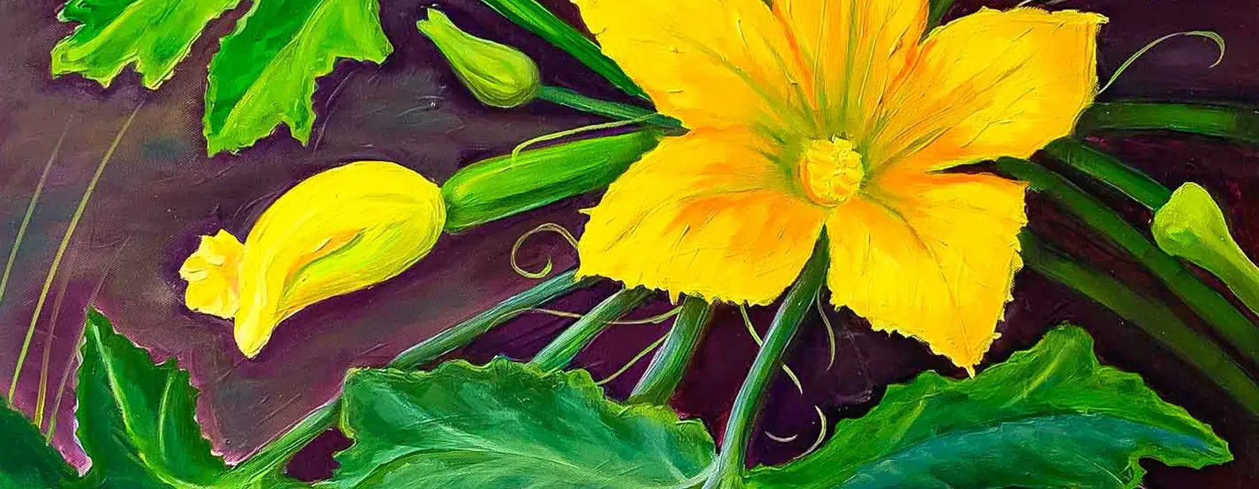 Zuccini Blüte Künstlerin Christine Neuhofer